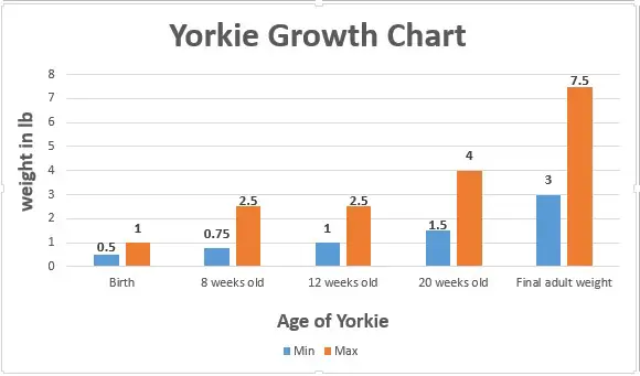 Yorkie Growth Chart
