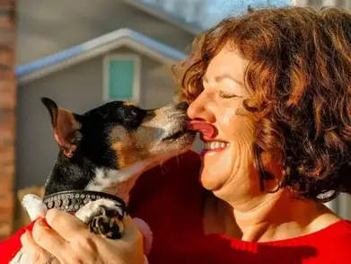 Why Do Dogs Lick Your Face In The Morning 3 Diseases You Can Get