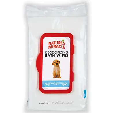 Can You Use Baby Wipes On Dogs With Reviews