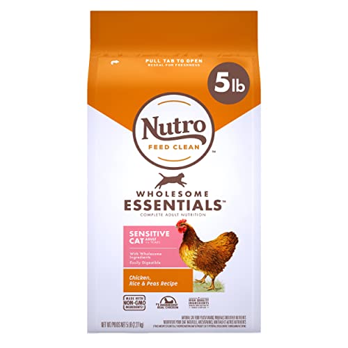 best cat food for gassy cats