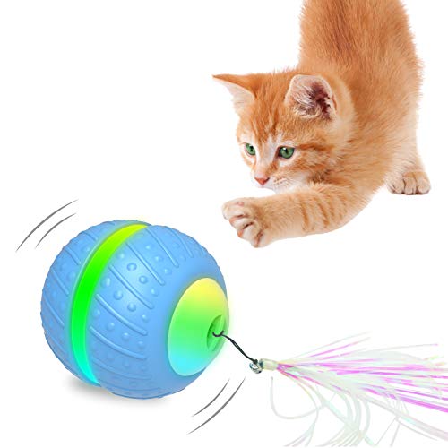 motion sensor cat toy
