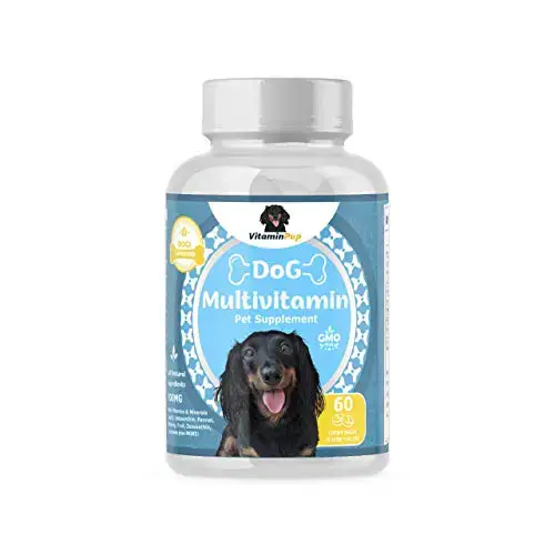 best vitamins for Chihuahua