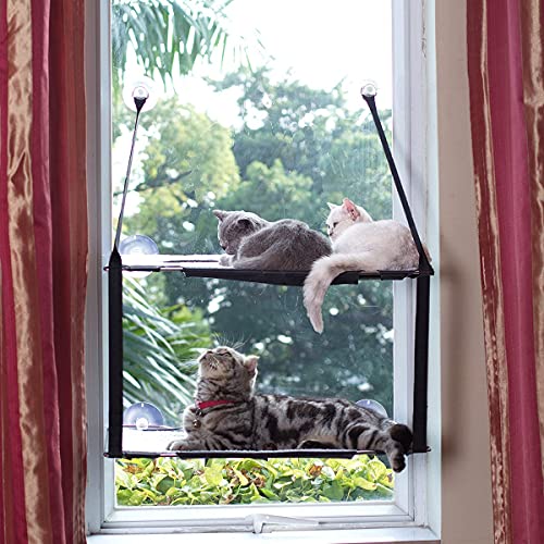 best cat window seats