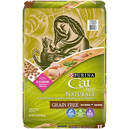 best cat food for stinky poop
