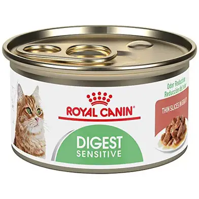 How To Warm Up Refrigerated Cat Food? Can You Microwave Cat Food?