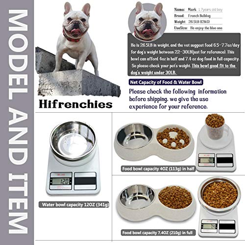 best slow feed dog bowl for french bulldog