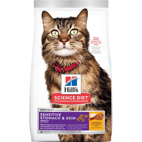 best kitten food for sensitive stomach diarrhea