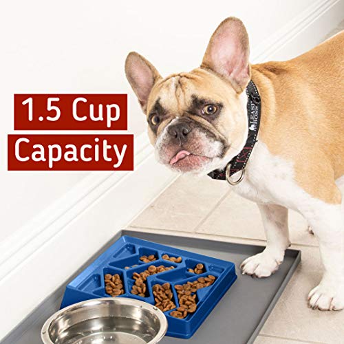 best slow feed dog bowl for french bulldog