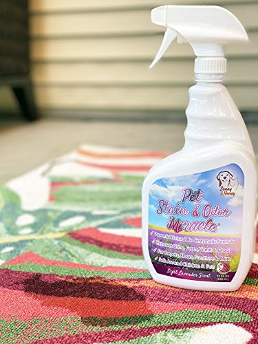 sunny and honey pet stain and odor miracle