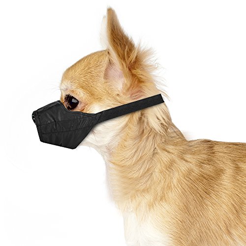 will a muzzle stop a dog from whining