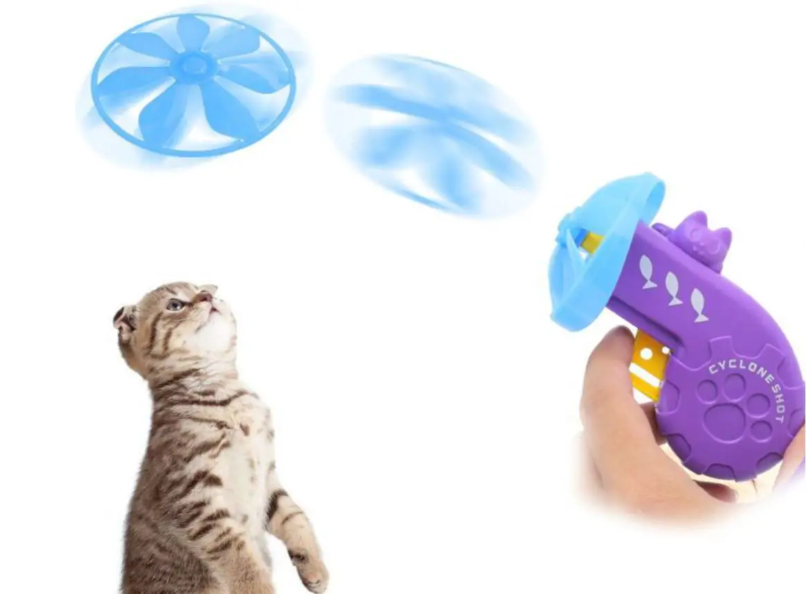 night time cat toys