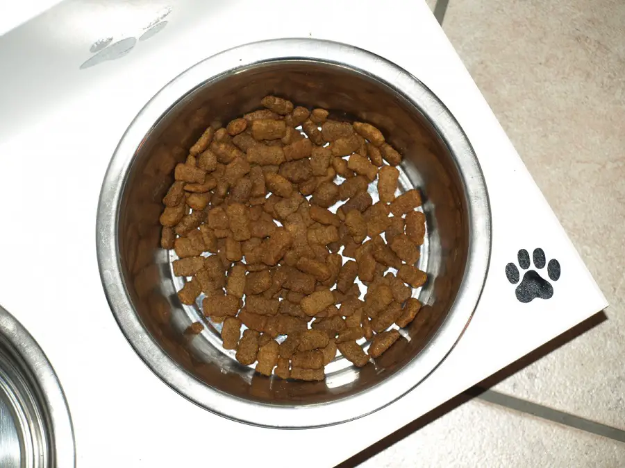 Stainless steel slow feeder dog bowl