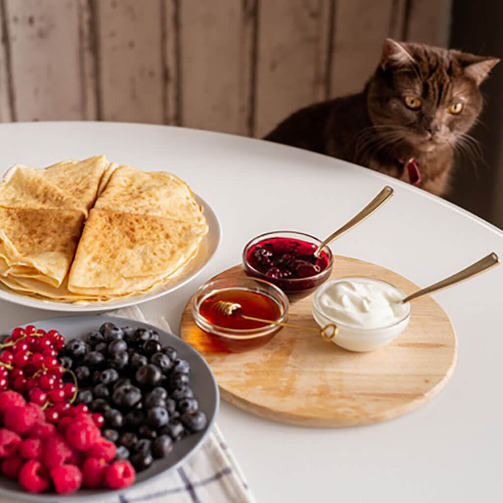 Can Cats Eat Raspberries? Safe or Not? Everything You Need To Know!