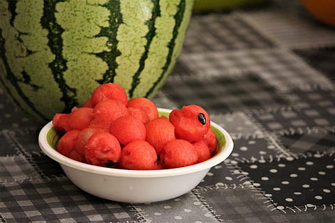 can French bulldogs eat watermelon