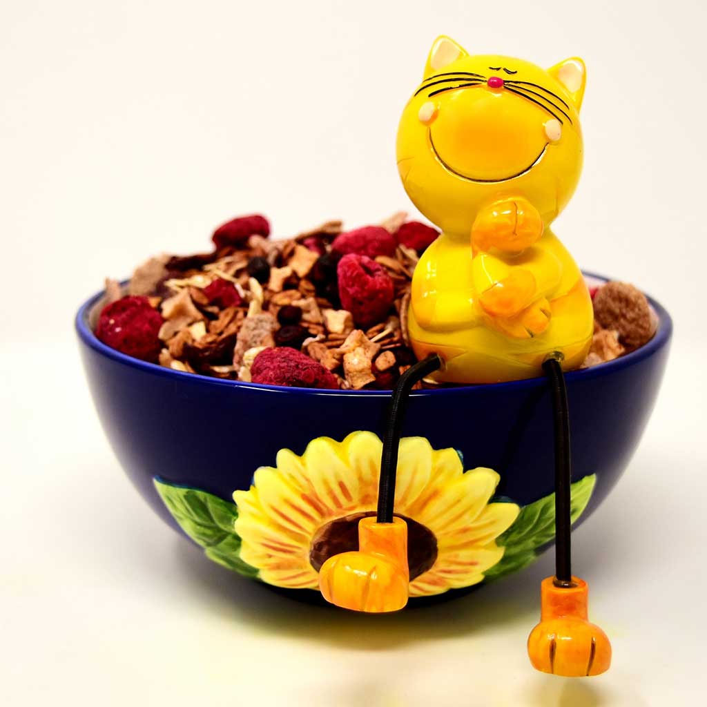 Can Cats Eat Raspberries? Safe or Not? Everything You Need To Know!