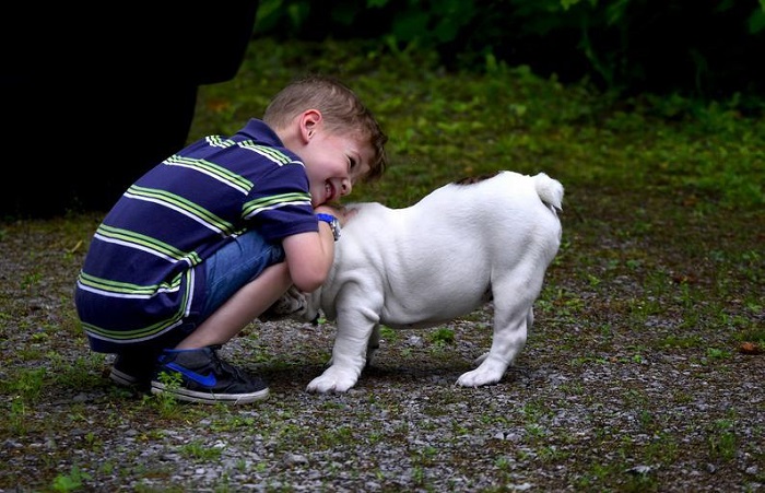 are french bulldogs good with kids 