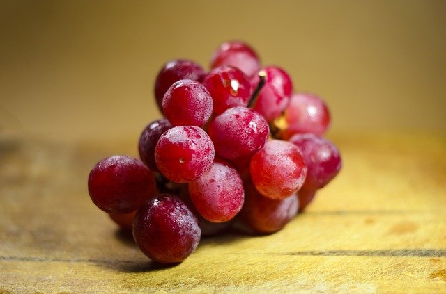 can French bulldogs eat grapes