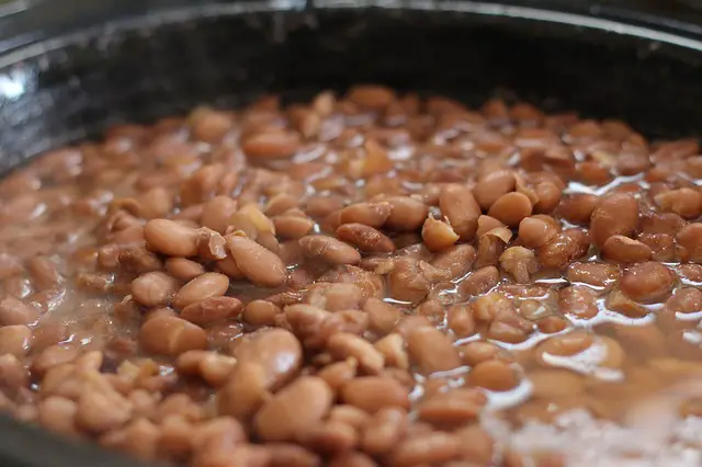 can cats eat black beans