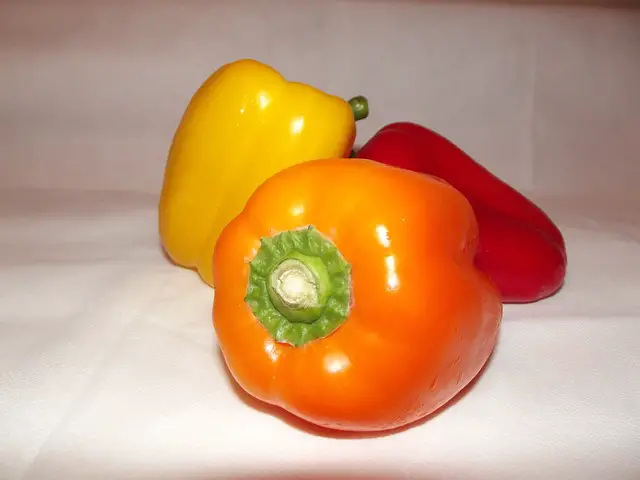 can cats eat bell peppers