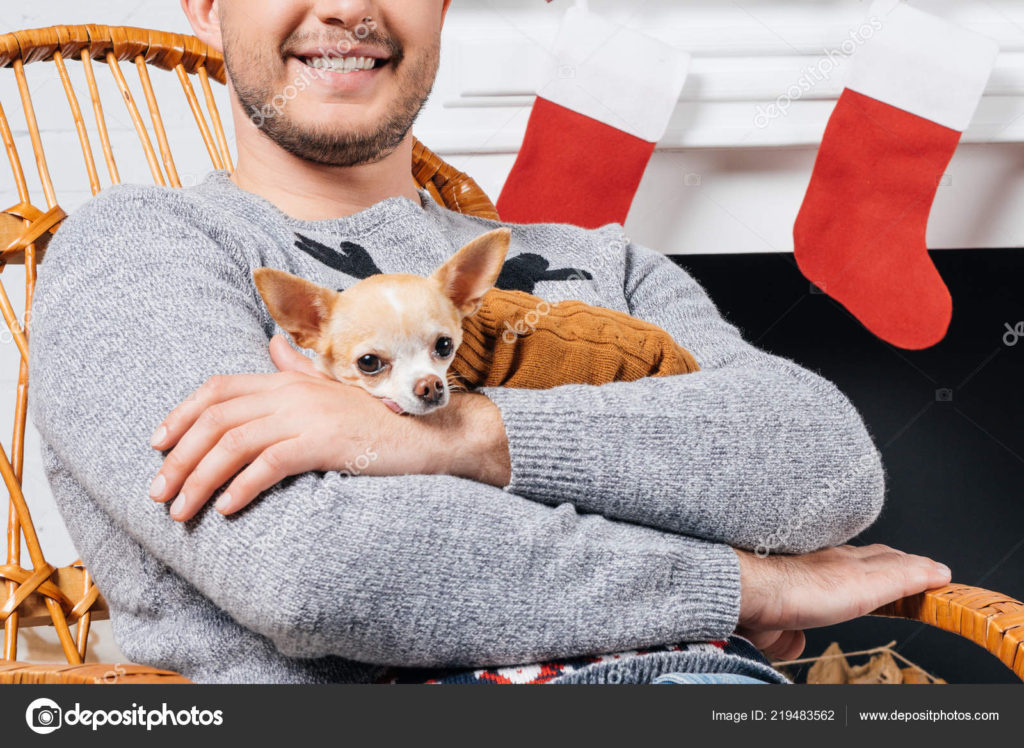 Are Chihuahuas loyal? 