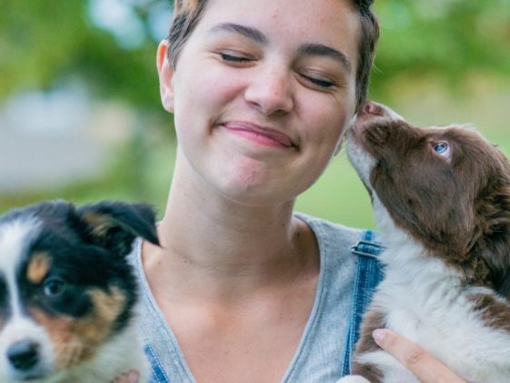 Why Do Dogs Lick Your Face In The Morning? + 3 Diseases You Can Get