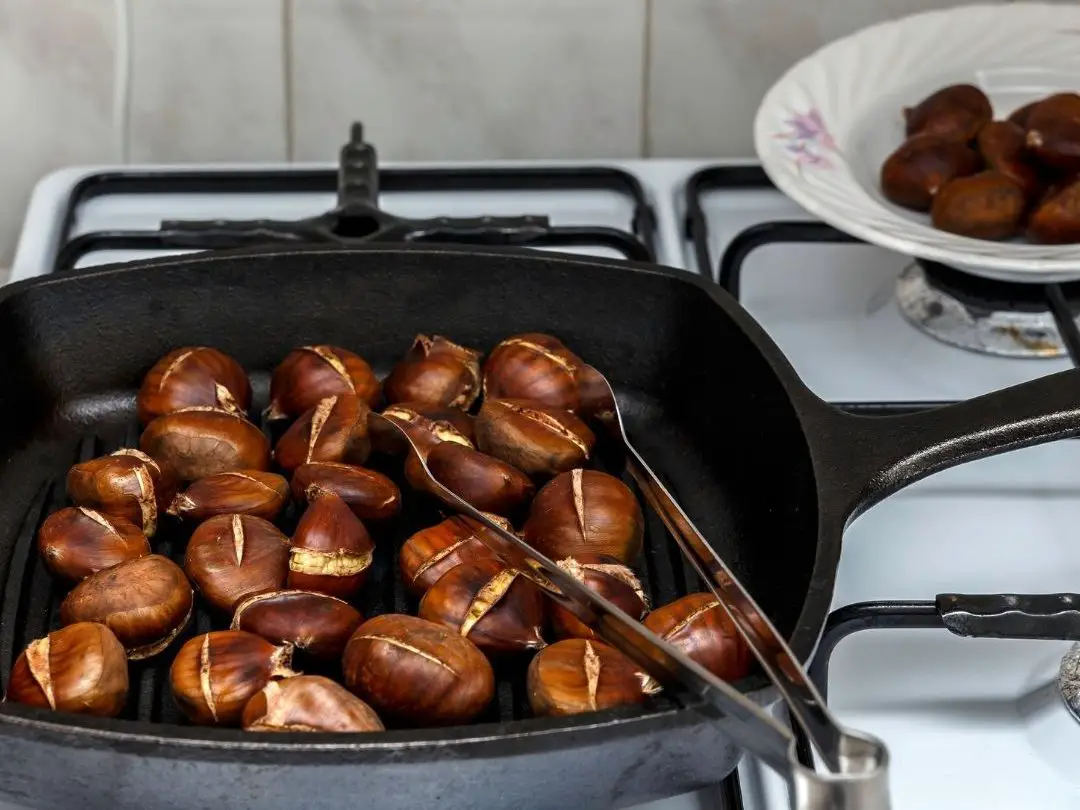 can-dogs-eat-chestnuts