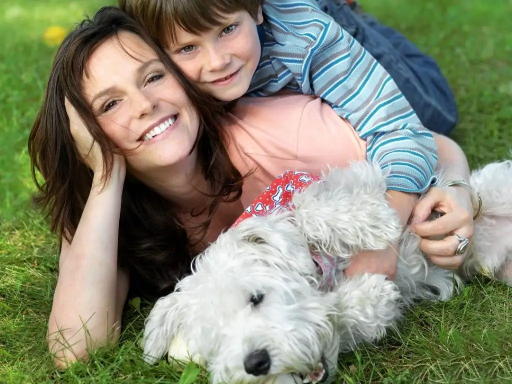 How Long Is A Dog's Memory Span? +14 Dog's Memory FAQs