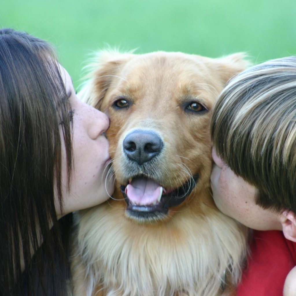 why-do-dogs-wink-at-you