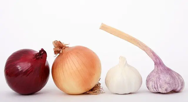 onions and garlic- toxic for dogs and cats