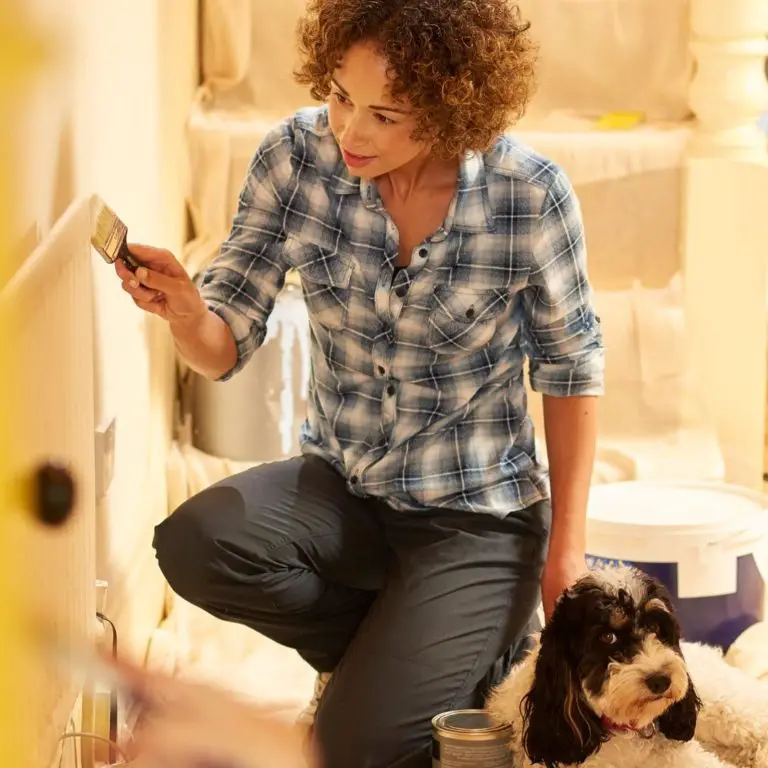 10 Reasons Why Does My Dog Lick Metal? + 5 Tips To Stop