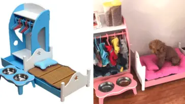 dog bed with built in closet and bowl