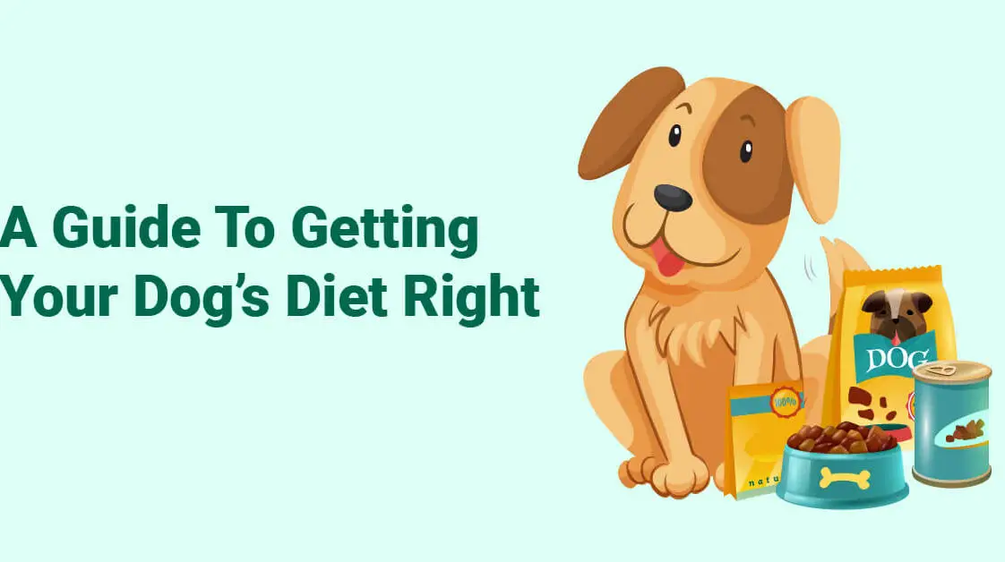 What Smells Do Dogs Hate The Most 15 Scents That Repel Dogs