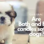 Are Bath and Body candles safe for dogs