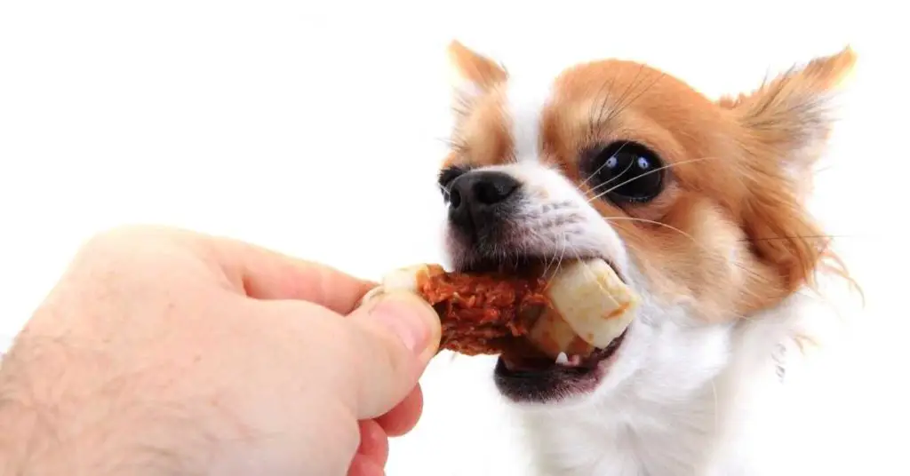 Can Dogs Digest Chicken Wings Bones