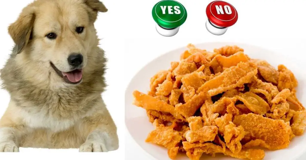Can Dogs Eat Fried Chicken Skin?