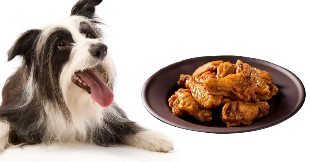 Can You Feed Dehydrated Chicken Wings To Dogs