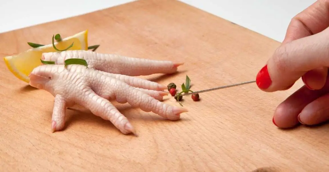 Can Dogs Eat Raw Chicken Feet? 3 Benefits + 3 Things To Consider