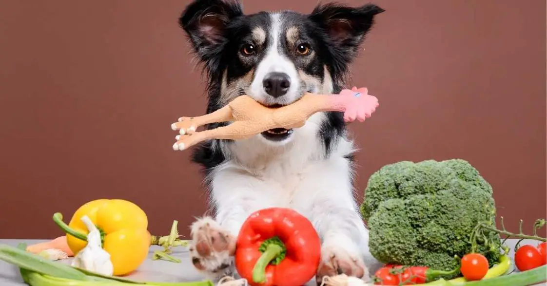 Can Dogs Eat Raw Chicken Thighs, Drumsticks, And Legs? (Read This!)