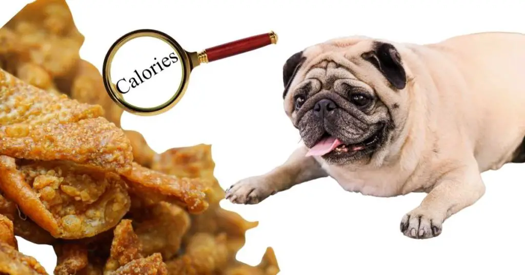 Is Chicken Skin Healthy For My Dog Let’s Count The Calories!