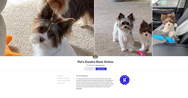 Pats Garden State Yorkies