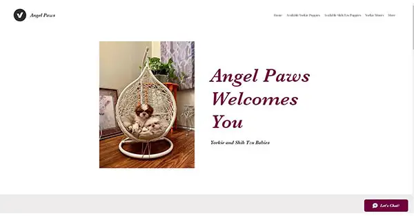 angel paws breeders