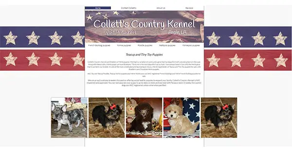 colletts country kennel
