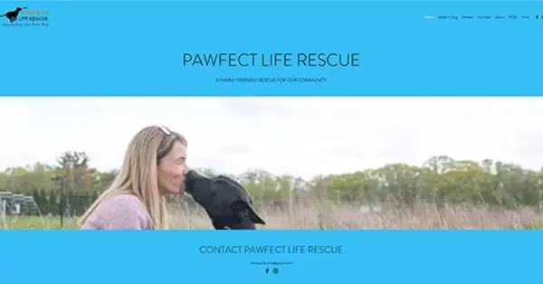 pawfect life rescue