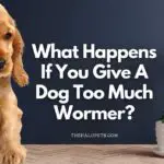 What Happens If You Give A Dog Too Much Wormer